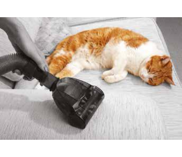 VAX AIR COMPACT PET silver/blue C85-AM-P-E - 1435690 - zdjęcie 8